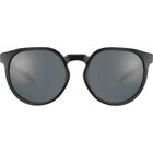 MERIT, Black Shiny-TNS, hi-res image number null